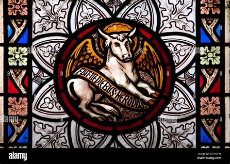st luke's sign in.